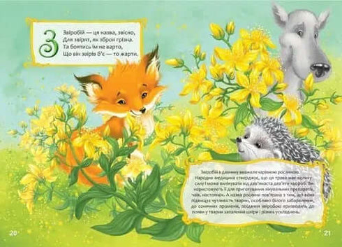 Alphabet des fleurs