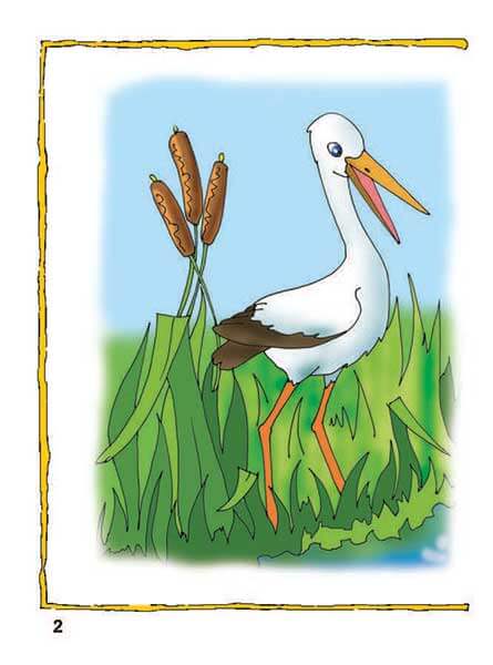 Apprenons à compter. Mathématiques n°2