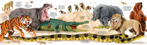 Велика книга тварин