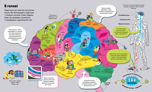 The Big Book About the Body